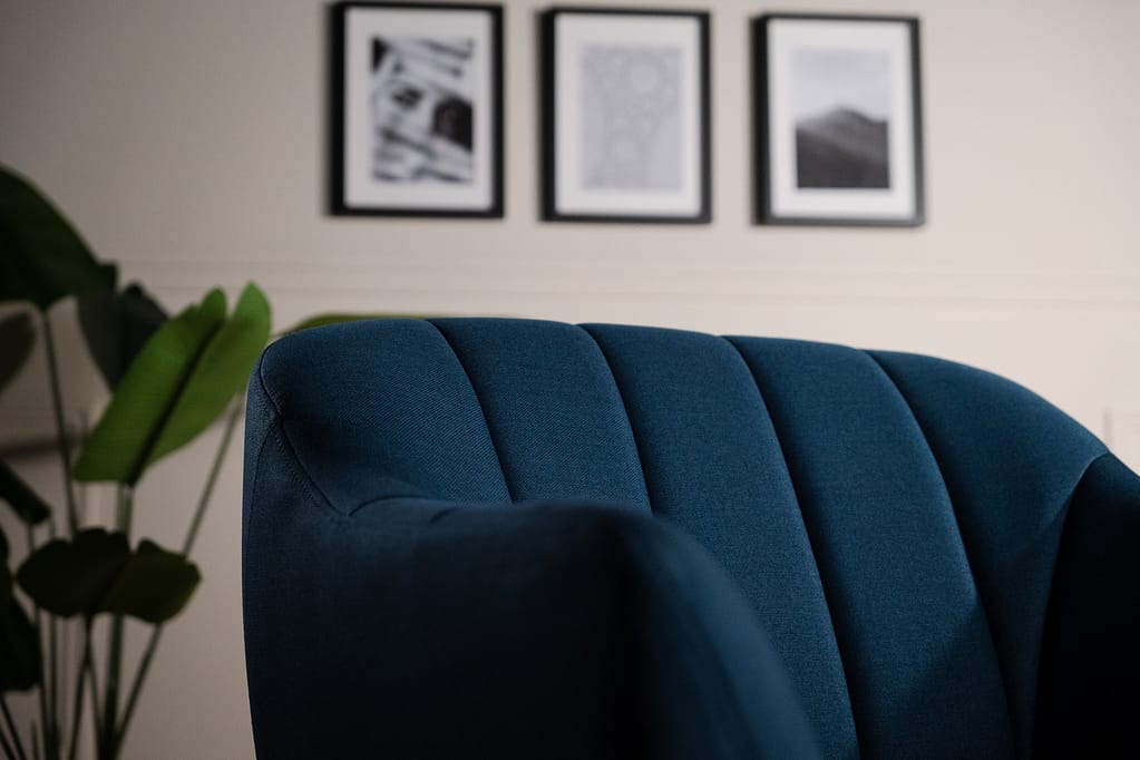 Détail du fauteuil bleu en velours avec plante et cadres en arrière-plan