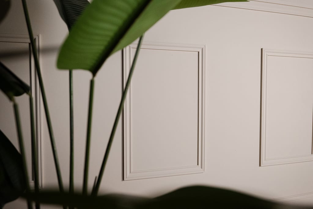 Détail de moulure murale blanche partiellement cachée par des feuilles de plante verte dans le décor La Parenthèse.