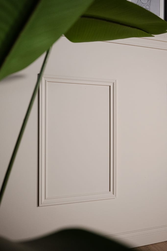 Gros plan sur la moulure murale blanche derrière une grande feuille de plante, dans le décor La Parenthèse.