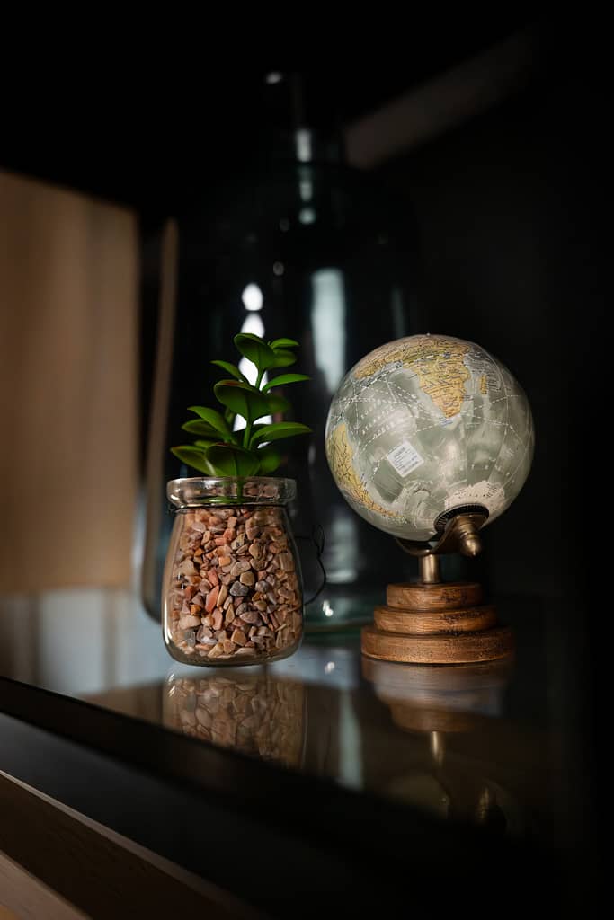 Détail déco du décor L’Éclipse : globe terrestre et plante en bocal